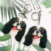 Tricolor Cav Keychain