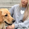 Grey Dogs Are White Sweatshirt